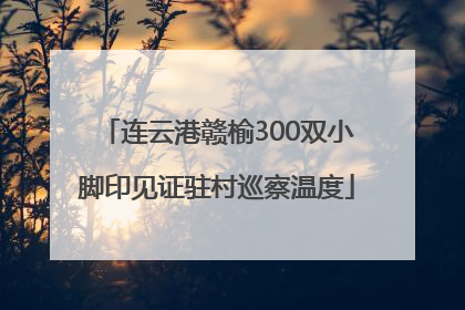 连云港赣榆300双小脚印见证驻村巡察温度