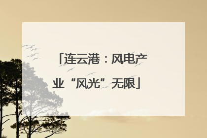 连云港：风电产业“风光”无限