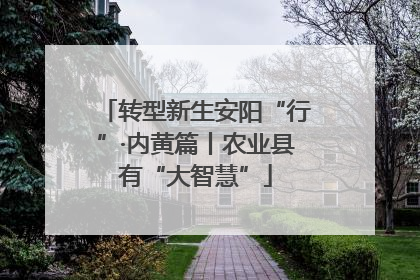 转型新生安阳“行”·内黄篇丨农业县有“大智慧”