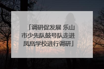调研促发展 乐山市少先队鼓号队走进凤凰学校进行调研