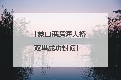 象山港跨海大桥双塔成功封顶