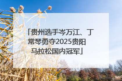 贵州选手岑万江、丁常琴勇夺2025贵阳马拉松国内冠军