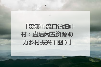 贵溪市流口镇细叶村：盘活闲置资源助力乡村振兴（图）