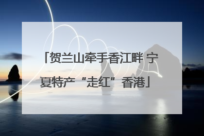 贺兰山牵手香江畔 宁夏特产“走红”香港