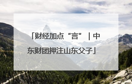 财经加点“言”｜中东财团押注山东父子
