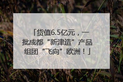 货值6.5亿元，一批成都“新津造”产品组团“飞向”欧洲！
