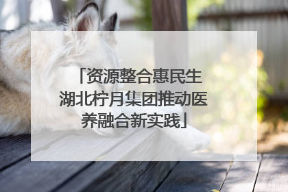 资源整合惠民生 湖北柠月集团推动医养融合新实践