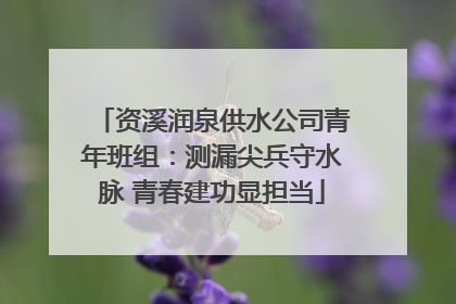 资溪润泉供水公司青年班组：测漏尖兵守水脉 青春建功显担当