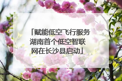 赋能低空飞行服务 湖南首个低空智联网在长沙县启动