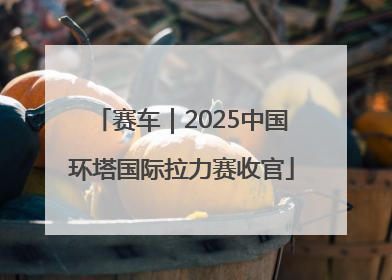赛车｜2025中国环塔国际拉力赛收官