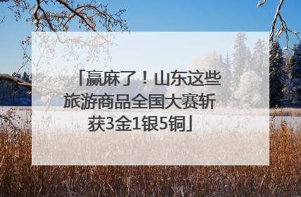 赢麻了！山东这些旅游商品全国大赛斩获3金1银5铜