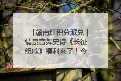 赣南红积分派兑｜情景音舞史诗《长征组歌》福利来了！今日15:30开抢