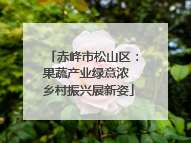 赤峰市松山区：果蔬产业绿意浓 乡村振兴展新姿