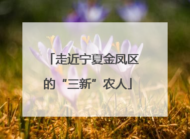 走近宁夏金凤区的“三新”农人