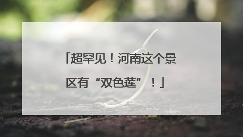 超罕见！河南这个景区有“双色莲”！