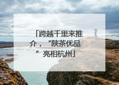跨越千里来推介，“陕茶优品”亮相杭州