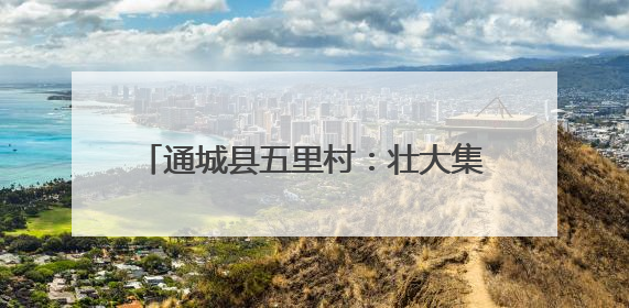 通城县五里村：壮大集体经济 赋能乡村振兴