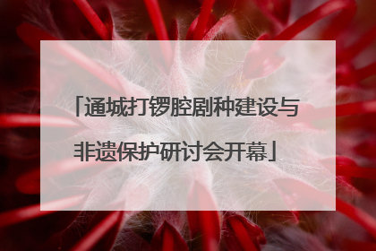 通城打锣腔剧种建设与非遗保护研讨会开幕