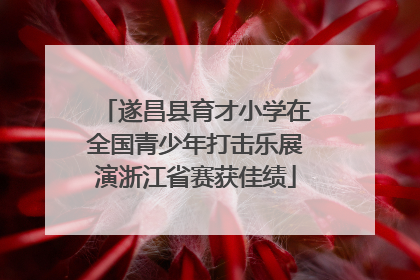 遂昌县育才小学在全国青少年打击乐展演浙江省赛获佳绩