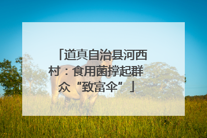 道真自治县河西村：食用菌撑起群众“致富伞”