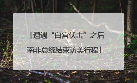 遭遇“白宫伏击”之后 南非总统结束访美行程