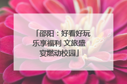邵阳：好看好玩乐享福利 文旅盛宴燃动校园