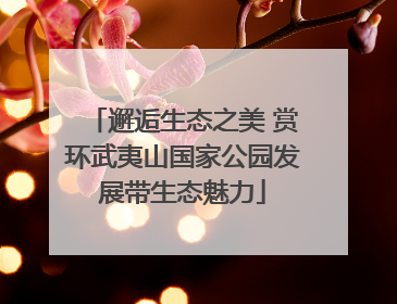 邂逅生态之美 赏环武夷山国家公园发展带生态魅力