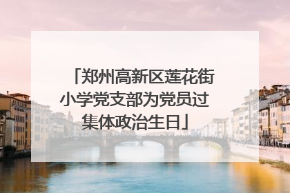 郑州高新区莲花街小学党支部为党员过集体政治生日