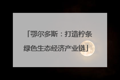 鄂尔多斯：打造柠条绿色生态经济产业链