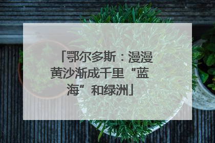 鄂尔多斯：漫漫黄沙渐成千里“蓝海”和绿洲