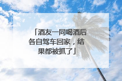 酒友一同喝酒后各自驾车回家，结果都被抓了
