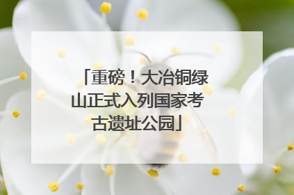重磅！大冶铜绿山正式入列国家考古遗址公园