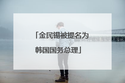 金民锡被提名为韩国国务总理