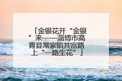 金银花开“金银”来——淄博市高青县常家镇共富路上“一路生花”