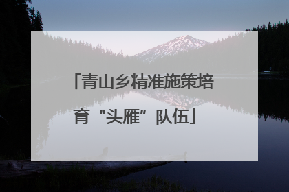 青山乡精准施策培育“头雁”队伍