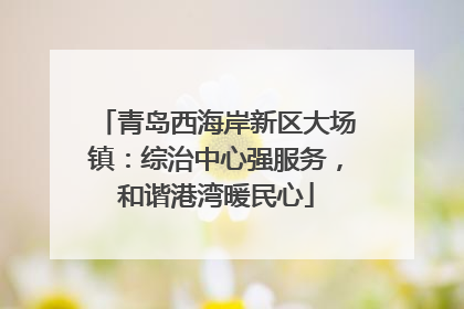 青岛西海岸新区大场镇：综治中心强服务，和谐港湾暖民心
