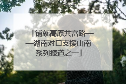 铺就高原共富路——湖南对口支援山南系列报道之一