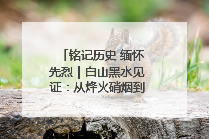 铭记历史 缅怀先烈｜白山黑水见证：从烽火硝烟到振兴热土的巨变