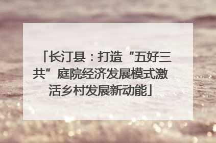 长汀县：打造“五好三共”庭院经济发展模式激活乡村发展新动能