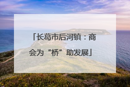 长葛市后河镇：商会为“桥”助发展