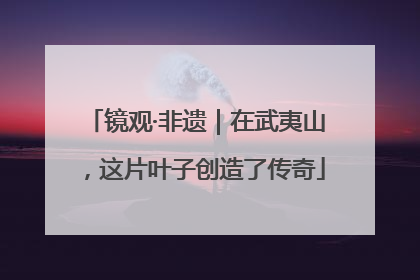 镜观·非遗｜在武夷山，这片叶子创造了传奇