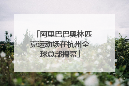 阿里巴巴奥林匹克运动场在杭州全球总部揭幕