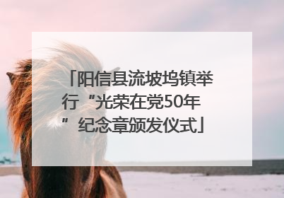 阳信县流坡坞镇举行“光荣在党50年”纪念章颁发仪式