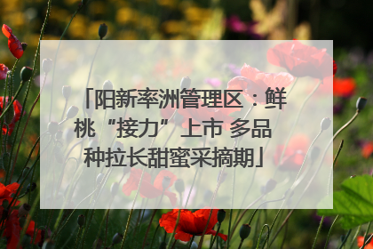 阳新率洲管理区：鲜桃“接力”上市 多品种拉长甜蜜采摘期