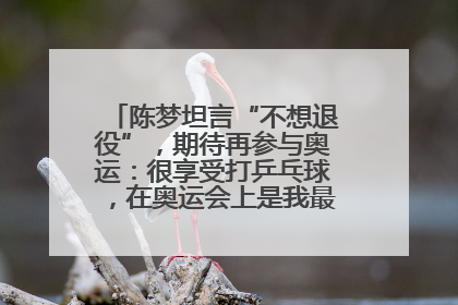 陈梦坦言“不想退役”，期待再参与奥运：很享受打乒乓球，在奥运会上是我最幸福的时候
