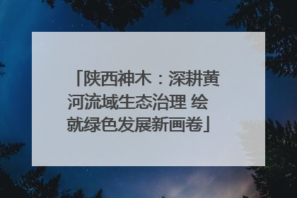 陕西神木：深耕黄河流域生态治理 绘就绿色发展新画卷