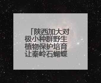 陕西加大对极小种群野生植物保护培育让秦岭石蝴蝶焕发新生机