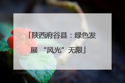 陕西府谷县：绿色发展 “风光”无限
