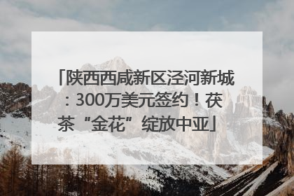 陕西西咸新区泾河新城：300万美元签约！茯茶“金花”绽放中亚