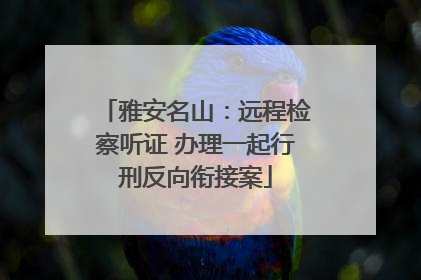 雅安名山：远程检察听证 办理一起行刑反向衔接案